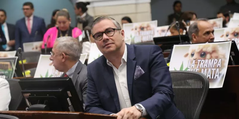 Archivan proyecto que buscaba regular el uso recreativo de cannabis para adultos (Senado)