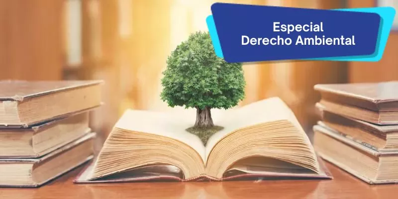 Etiqueta-Especiales-Informe.jpg
