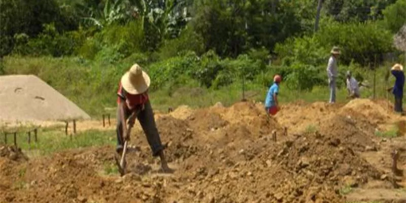 Conceden tutela a víctima de desplazamiento por larga espera en materialización de fallo de restitución de tierras (Alcaldía)