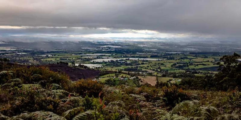 Tutela-para-proteger-Sabana(Minambiente).jpg