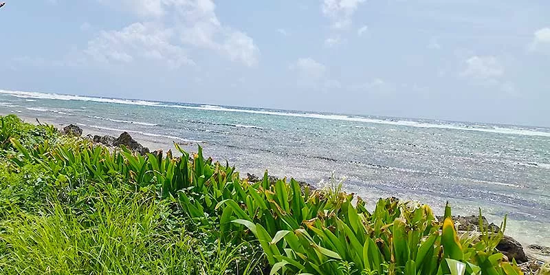 playa-mar-sanandres(juanrojas)(1)