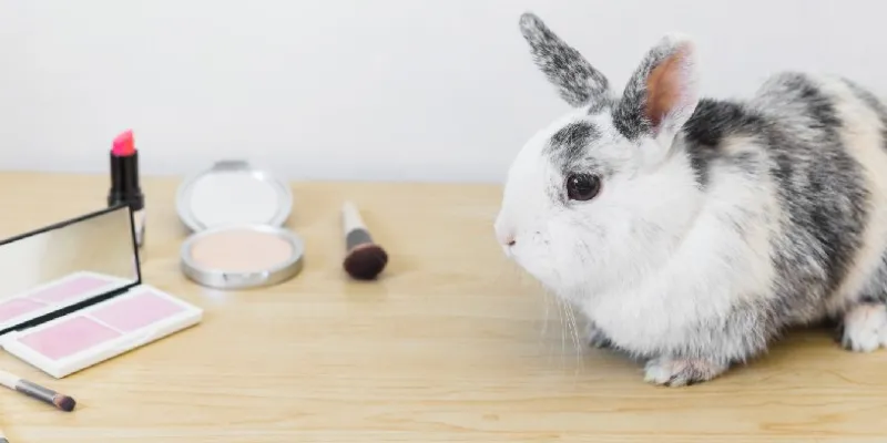 Gobierno deberá reglamentar en seis meses prohibición de experimentar cosméticos con animales (Freepik)