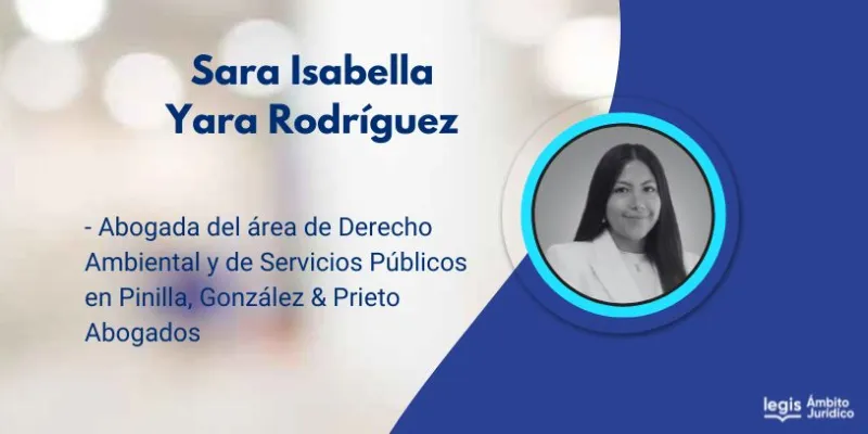 Energía limpia y exoneración de licencias ambientales