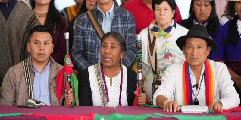 Normas expedidas por autoridades indígenas no tienen jerarquía constitucional (Mineducación)