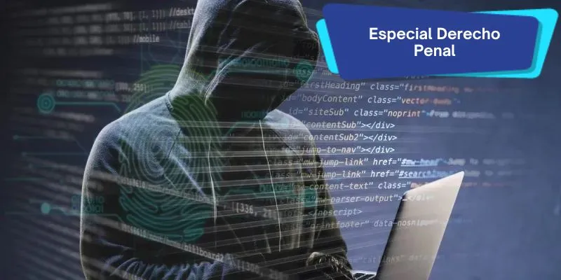 Protección de datos y derecho penal