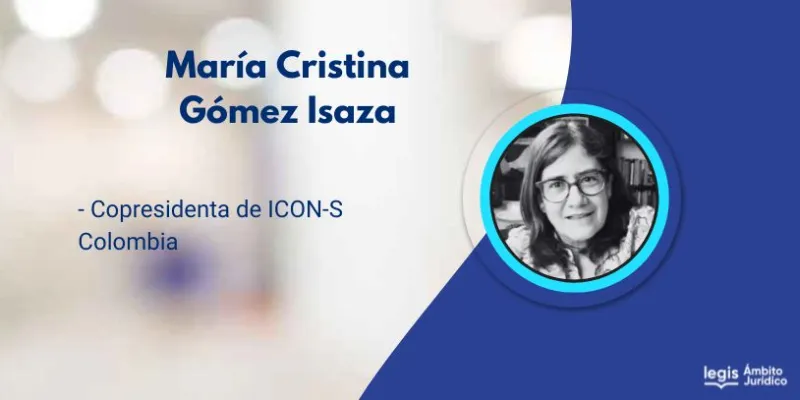 ¿La Constitución tiene la culpa?