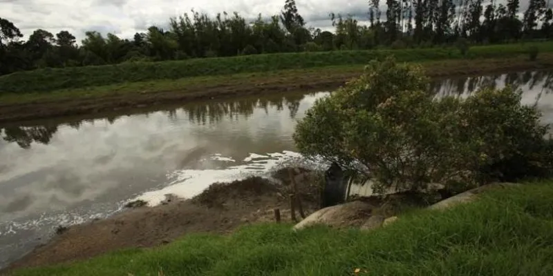 Proceso de reglamentación sobre uso del suelo en la Sabana de Bogotá puede continuar: Consejo de Estado (Alcaldía de Bogotá)
