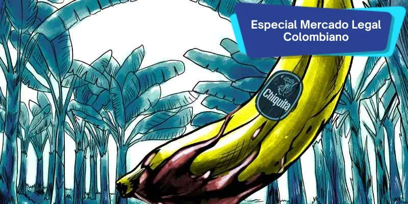 Empresarios y responsabilidad penal: lecciones del caso Chiquita Brands