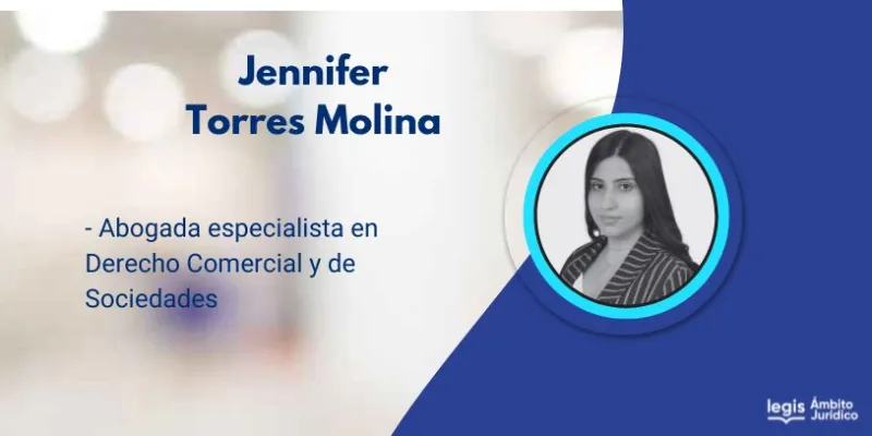 La acción de nulidad absoluta por conflicto de intereses es distinta a la acción social de responsabilidad