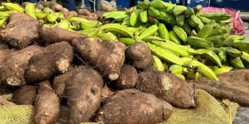 Aliviarán deuda de productores afectados por inundaciones