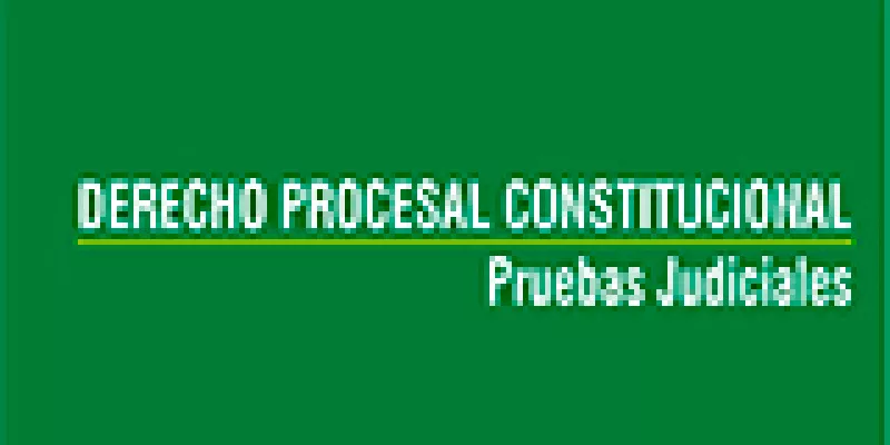 derecho-procesal-constitucional2.jpg