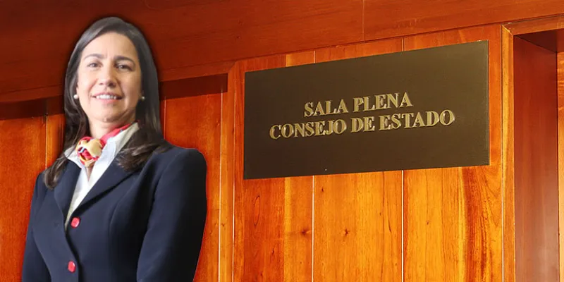 consejodeestado-mariaadrianamarinjuanrojas-1509241589.jpg