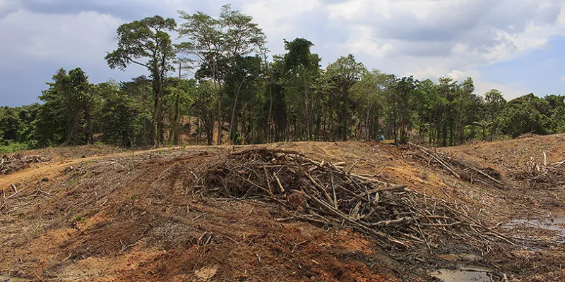 dac3b1oecologico-deforestacion-medioambienteshut-1509241621.jpg
