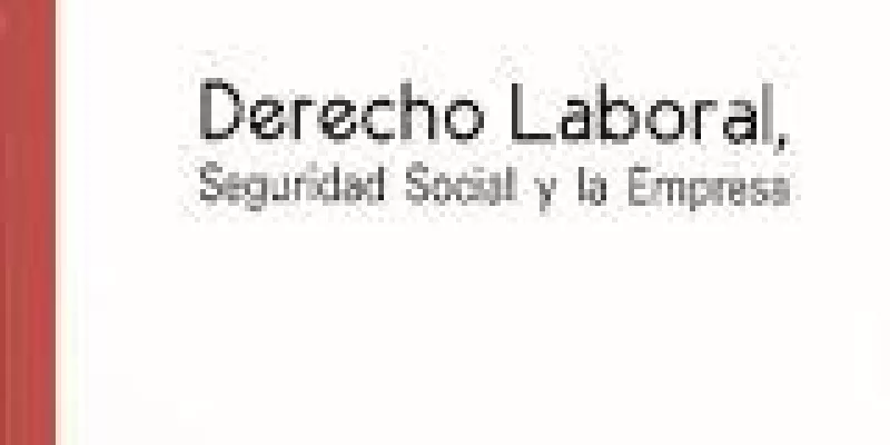 derecho-laboral-seg-social-y-la-empresa-1509241987.jpg