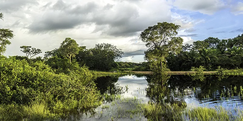 humedal-medioambiente-vegatacionshut-1509241886.jpg