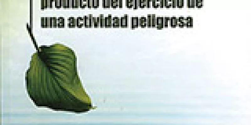 justificacion20de20la20aplicacion20del20riesgo-1509242290.jpg