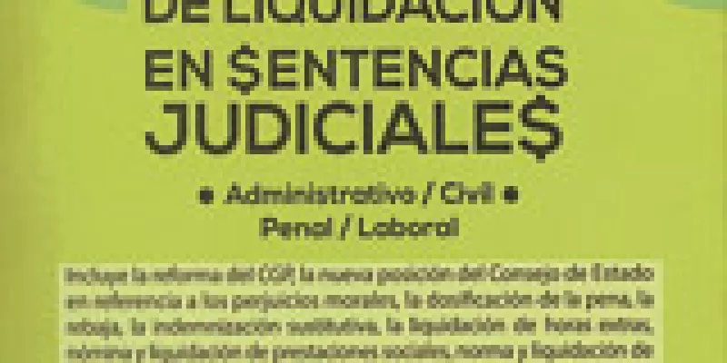 manual-liquidacion-en-sentencias-1509241836.jpg