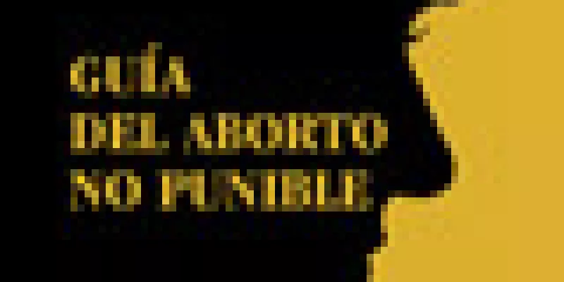 medi-110629-01-guia-del-aborto-1509244263.jpg