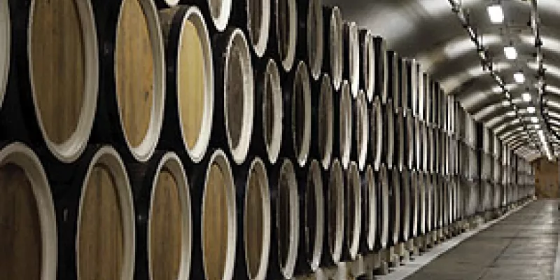 medi-111109-01-licor1-1509244167.jpg