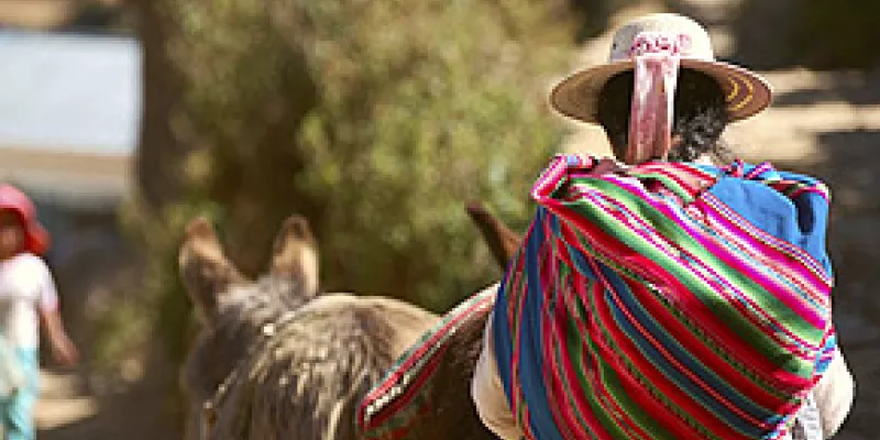 medi120424burro1-1509244057.jpg