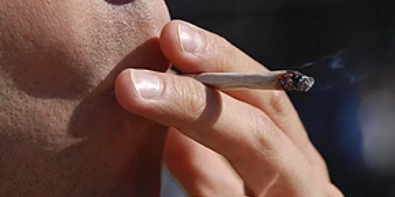 medi120502porro1-1509244051.jpg
