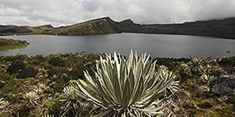medi121128sumapaz1-1509243836.jpg