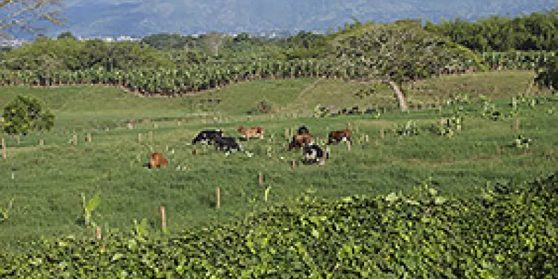 medi130430temas1-1509243701.jpg