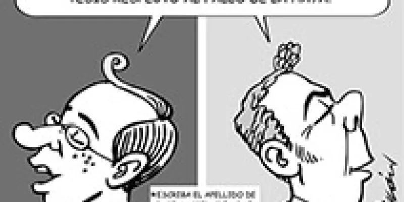medi130916paragrafo1-1509243575.jpg