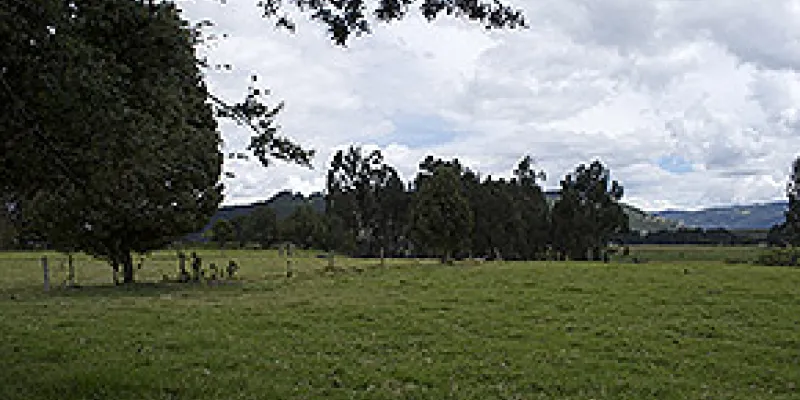 medi1311202baldios1-1509243490.jpg
