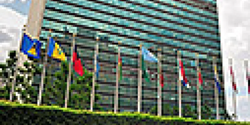 medi140314onu-1509243349.jpg