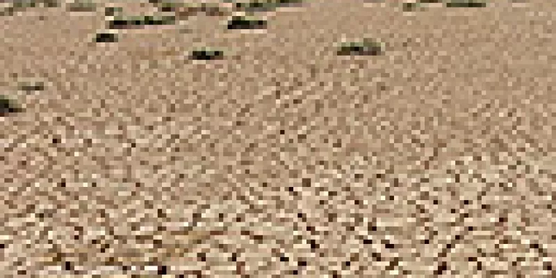 medi140327sequia-1509243332.jpg