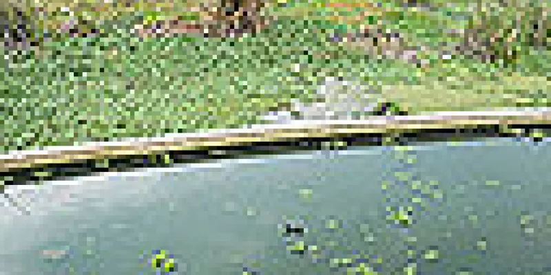 medi140402humedal-wiki-1509243323.jpg