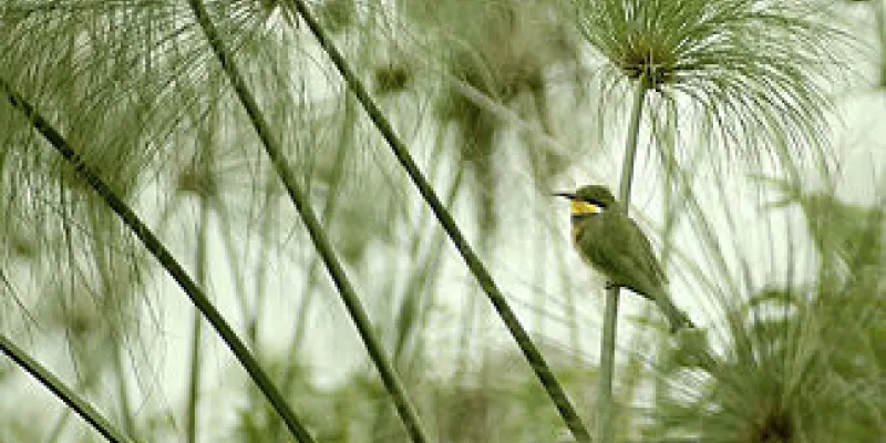 medi140906medioambiente-opt-1509243218.jpg