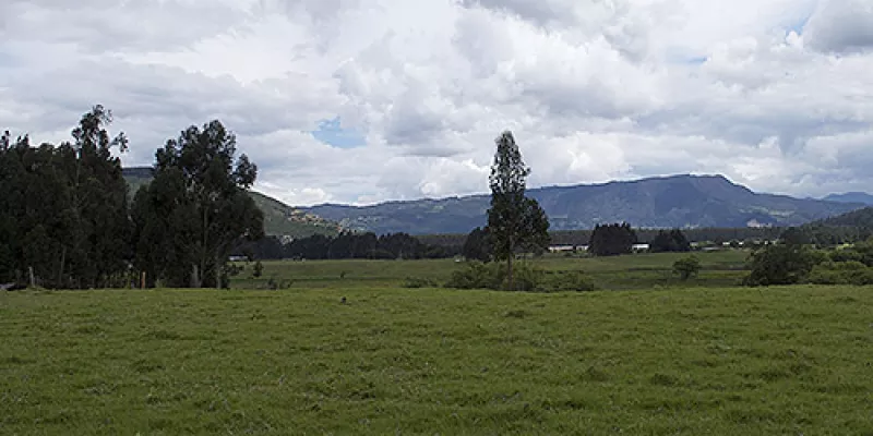 medi141508baldios20ma-1509242455.jpg