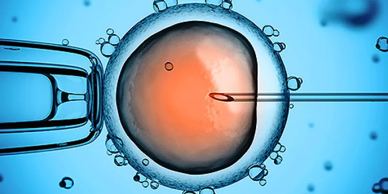 medi141812celulas-1509242365.jpg