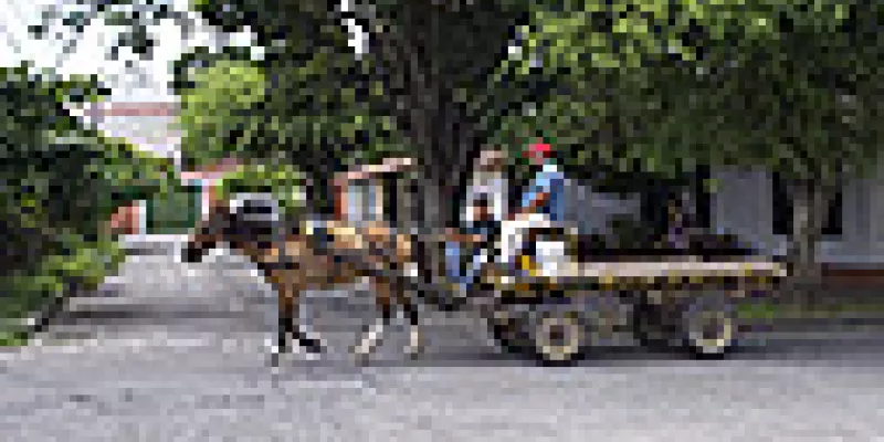 medi142304recicladores-1509243296.jpg