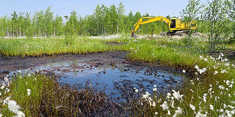 medi150506dano20ambiental-1509242736.jpg