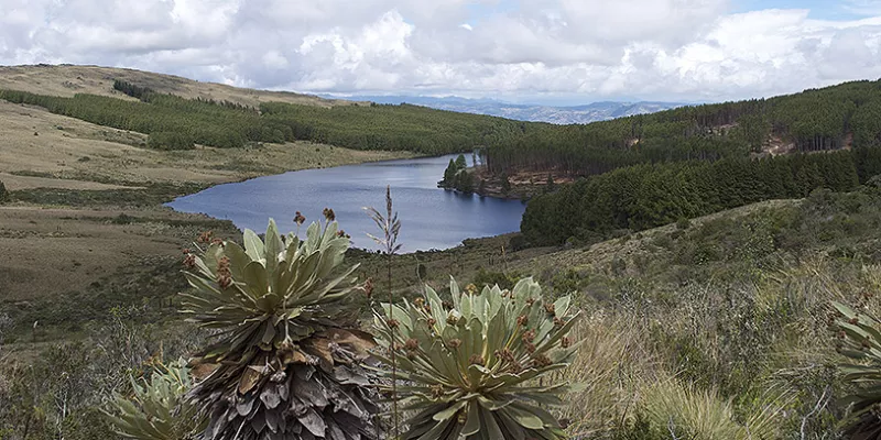represa-embalse-agua1mac-1509241815.jpg