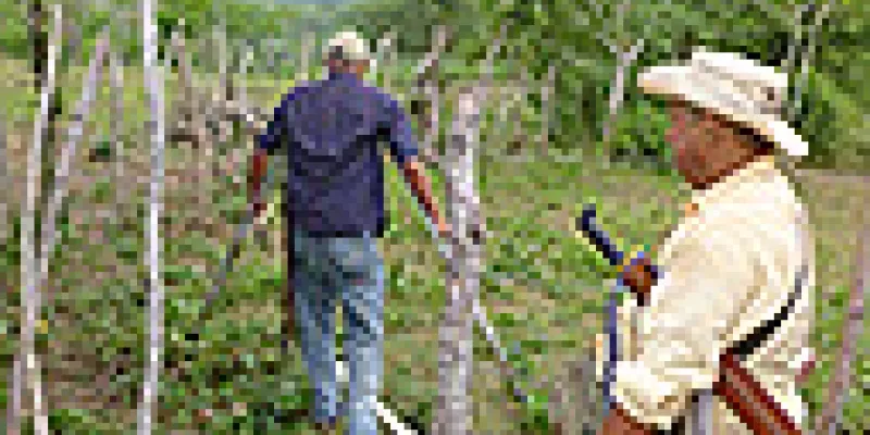 restituciondetierras-urt-1509243289.jpg