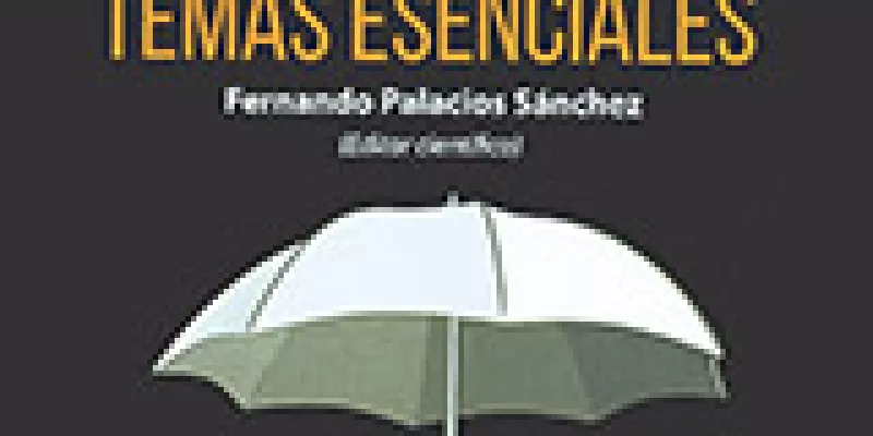 seguros20temas20esenciales-1509242175.jpg