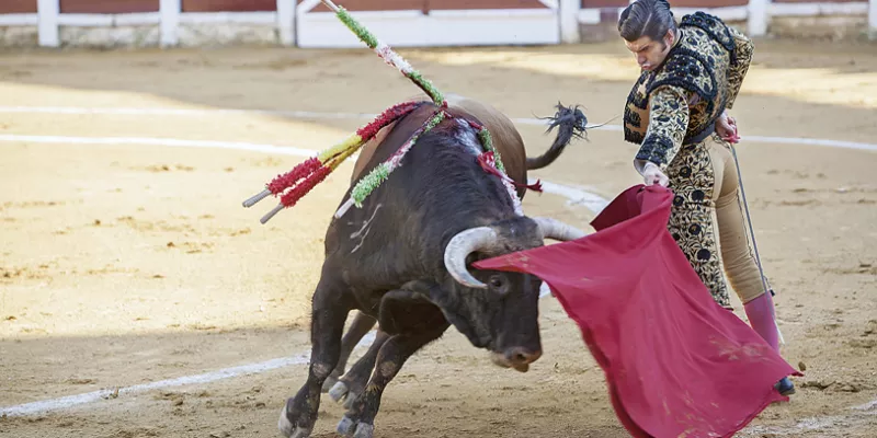 toros-corridas-animales-1509241851.jpg