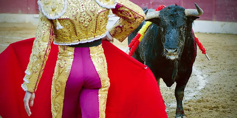 toros-corridas-torerobig-1509241856.jpg
