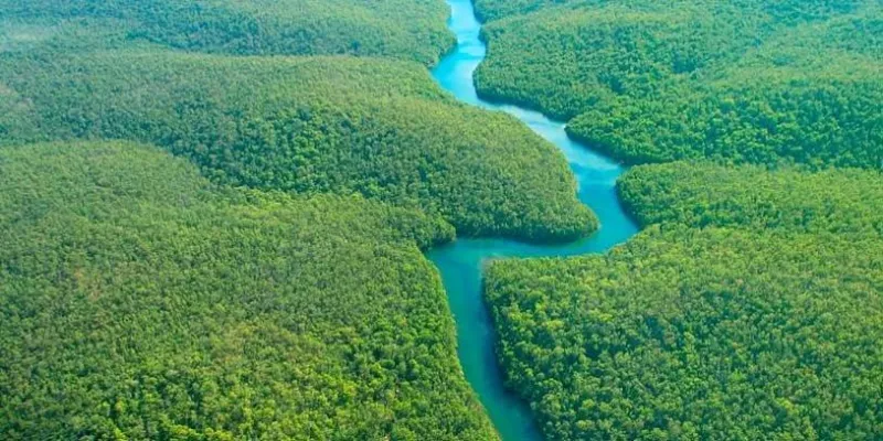 selva-amazonia-riobigstock.jpg